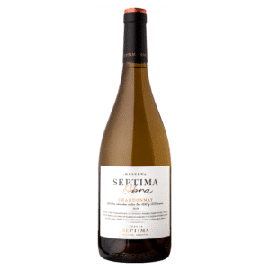 ARGENTINE SEPTIMA OBRA RESERVA 2024 BL 75 CL