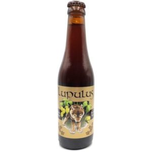 LUPULUS BRUNE 24 X 33 CL