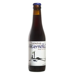 LUPULUS HIBERNATUS - NOEL 24 X 33 CL