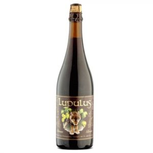 LUPULUS BRUNE 8.5° 12 X 75 CL