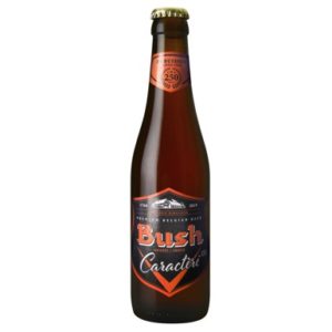 BUSH AMBREE 12 ° 24 X 33 CL