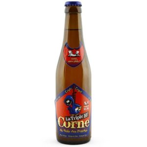 CORNE BOIS PENDUS TRIPLE 10° 24 X 33 CL