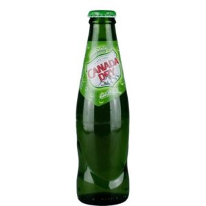 CANADA DRY 24 X 20 CL