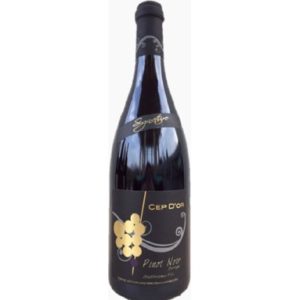 LUX PINOT NOIR STADT. GOLDBERG F. CHENE 2022 RG 75CL