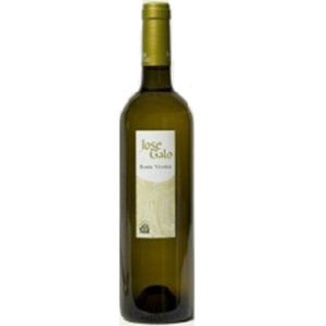 ESPAGNE JOSE GALO RUEDA VERDEJO 2023 BL 75 CL