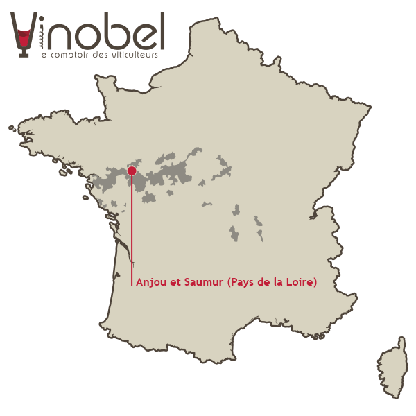 Carte du vignoble Anjou - Saumur