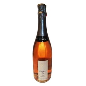 CAVA PUPITRE BRUT RS 75 CL