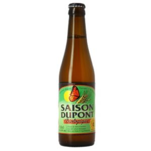 SAISON DUPONT BIO 5.5° 24 X 33 CL