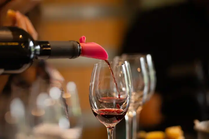 Sommelier dans sa cave à vin